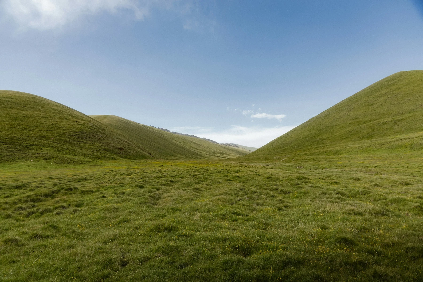 Green hills opening toward the sky