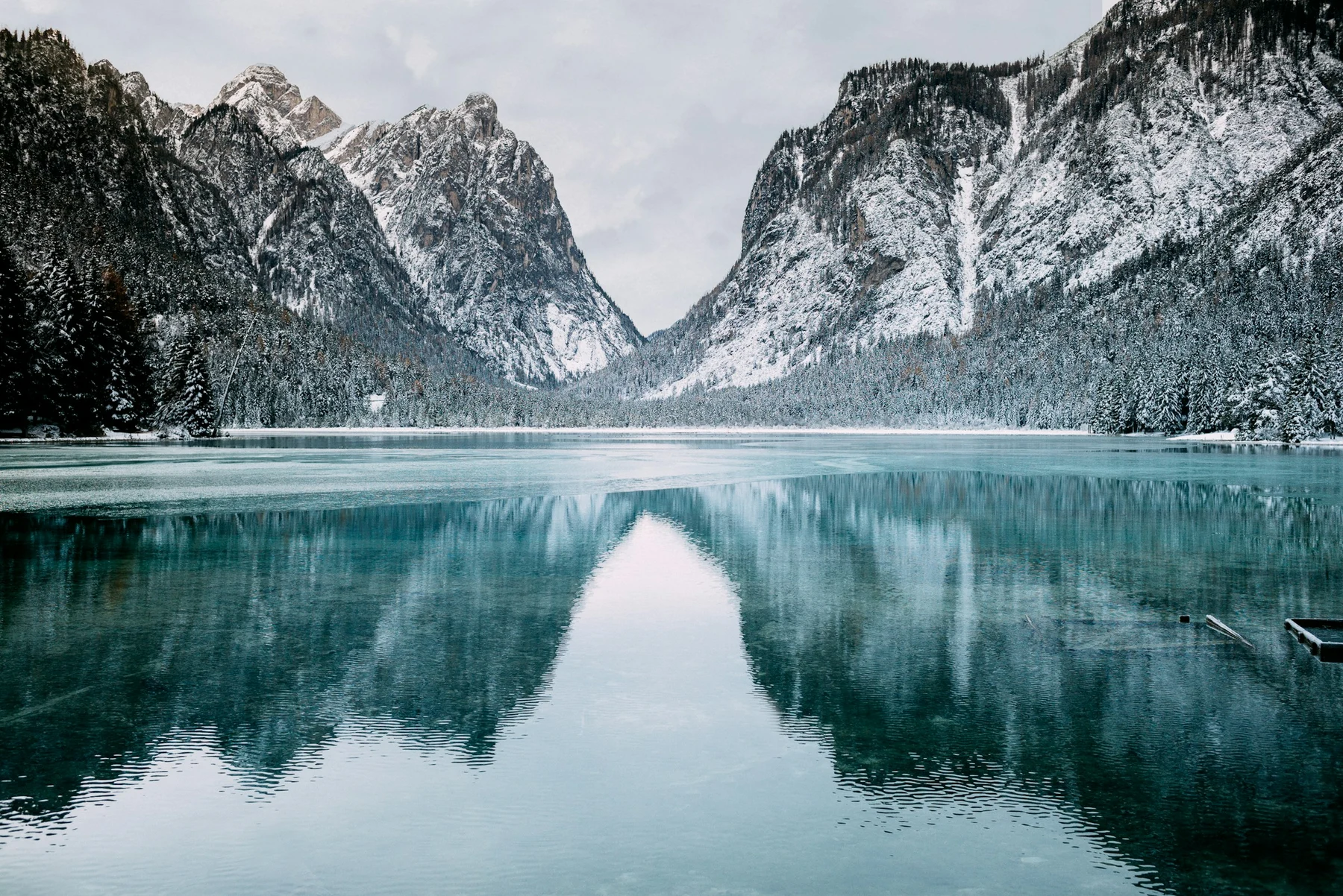 Mountains and forest reflected in a still lake